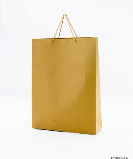 Bolsa de papel kraft con manijas retorcidas AC0875