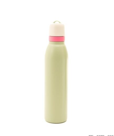 Botella Térmica Minimalista en Verde TE5076